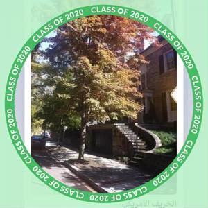 Meet your Posher, Mhamed